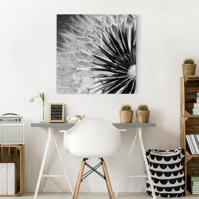 Obrazy do salonu nowoczesne Dandelion czarno-biały