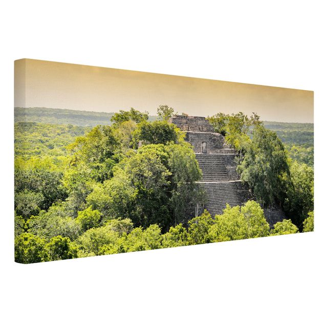 Obraz drzewo Piramida w Calakmul