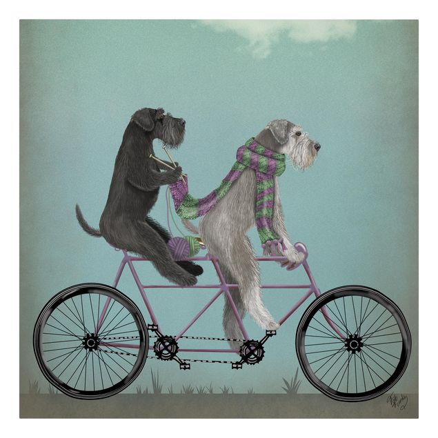 Zwierzęta obrazy Wycieczka rowerowa - Schnauzer Tandem