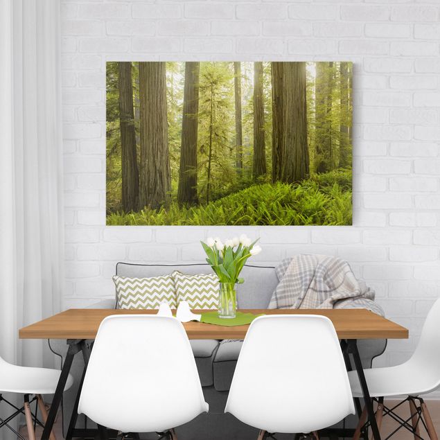 Nowoczesne obrazy Redwood State Park Forest widok na las