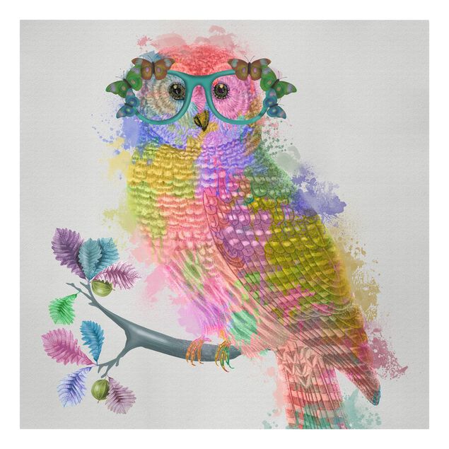 Obrazy Rainbow Splash Owl