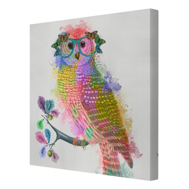 Obrazy na płótnie Rainbow Splash Owl