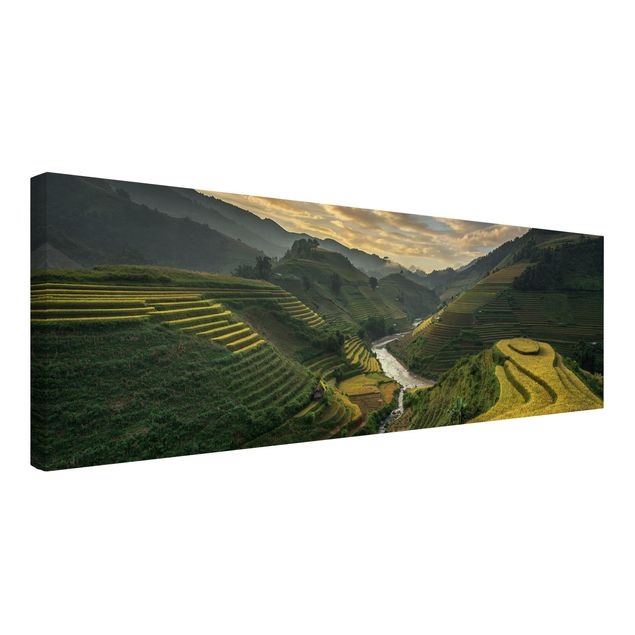 Obrazy góry Plantacje ryżu w Wietnamie