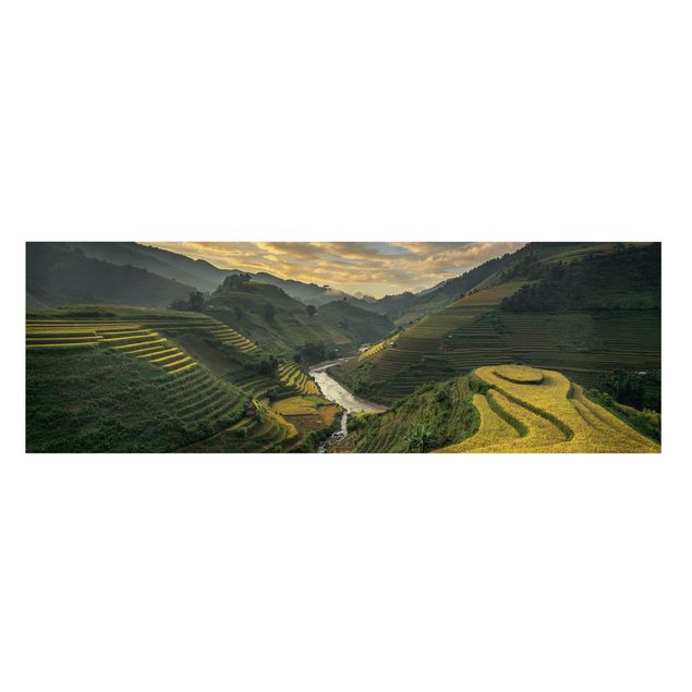 Obrazy krajobraz Plantacje ryżu w Wietnamie