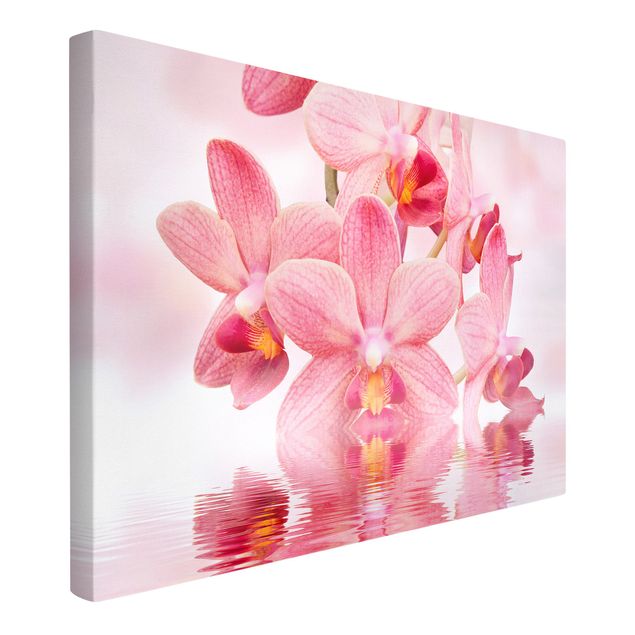 Obrazy na płótnie orchidea Różowe storczyki na wodzie