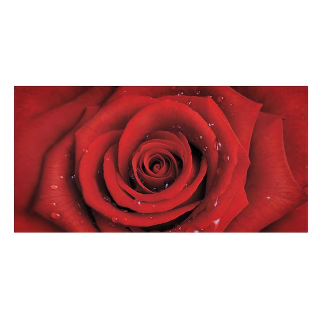 Obraz z czerwonym motywem Róża czerwona z kroplami wody