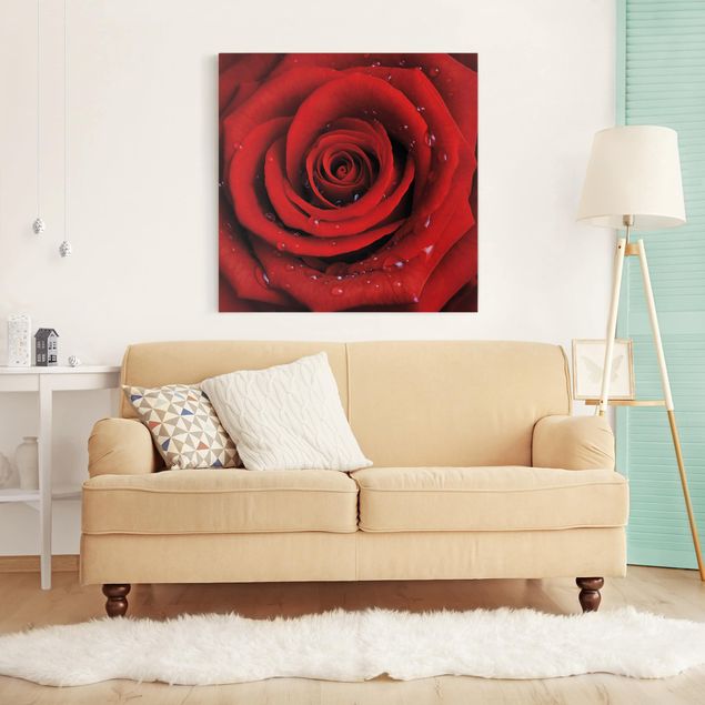 Nowoczesne obrazy do salonu Róża czerwona z kroplami wody