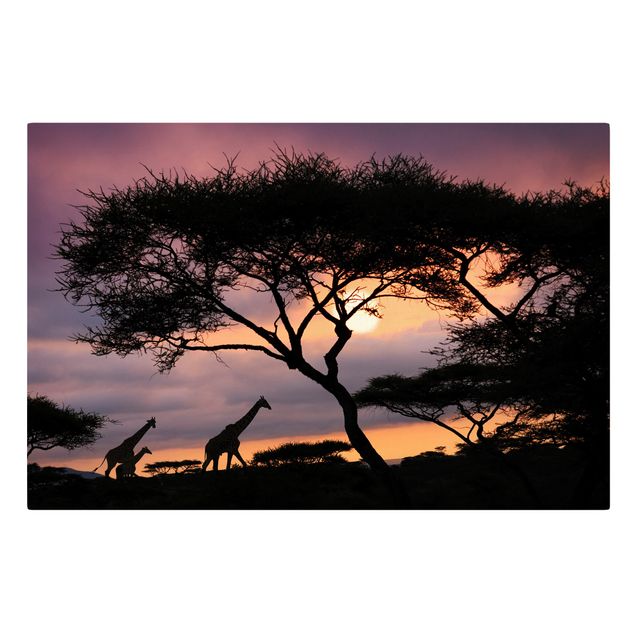 Obrazy na ścianę krajobrazy Safari w Afryce