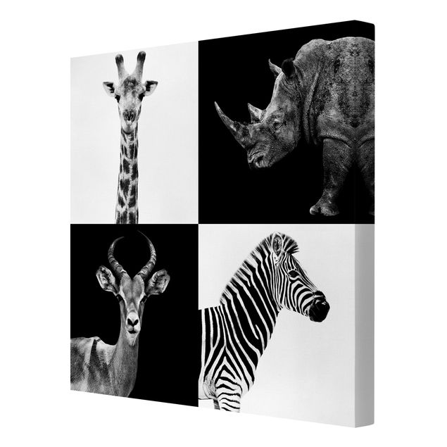 Obrazy na płótnie zebra Kwartet Safari