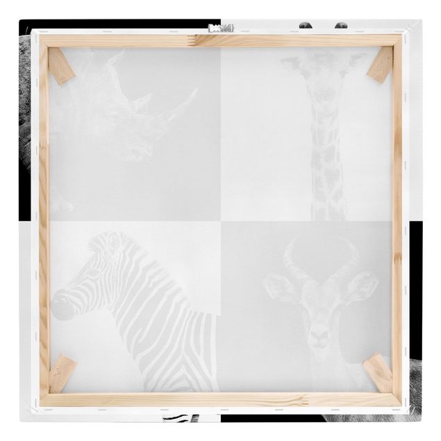 Czarno białe obrazy Kwartet Safari