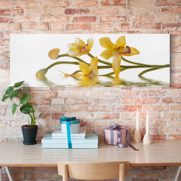 Obrazy nowoczesne Saffron Orchid Waters