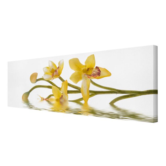Obrazy kwiatowe Saffron Orchid Waters