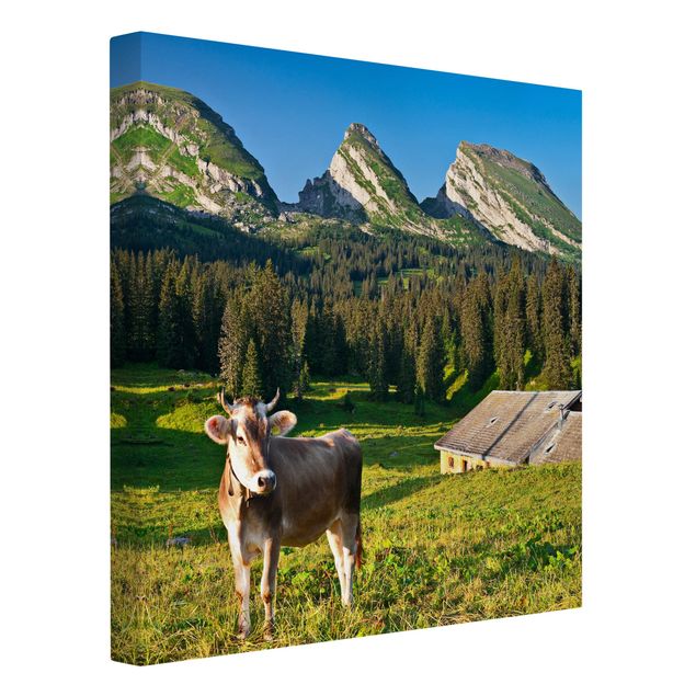 Obrazy nowoczesne Szwajcarska łąka alpejska z krową