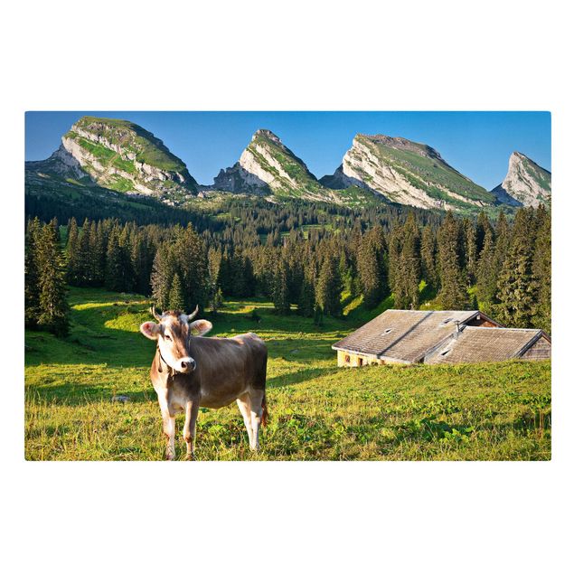 Obrazy góry Szwajcarska łąka alpejska z krową