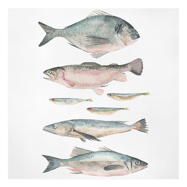 Obrazy na płótnie zwierzęta Siedem rybek w akwareli II