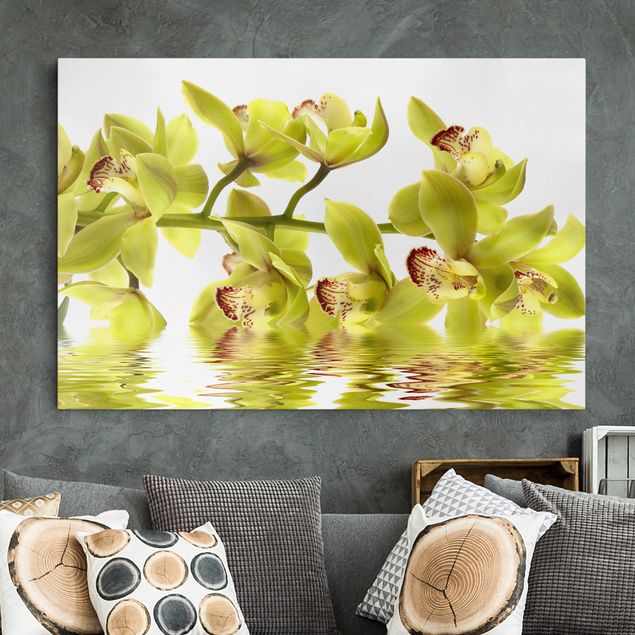 Nowoczesne obrazy do salonu Wspaniałe wody orchidei
