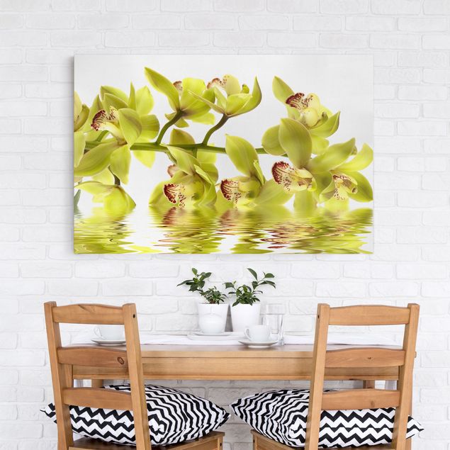 Obrazy nowoczesny Wspaniałe wody orchidei