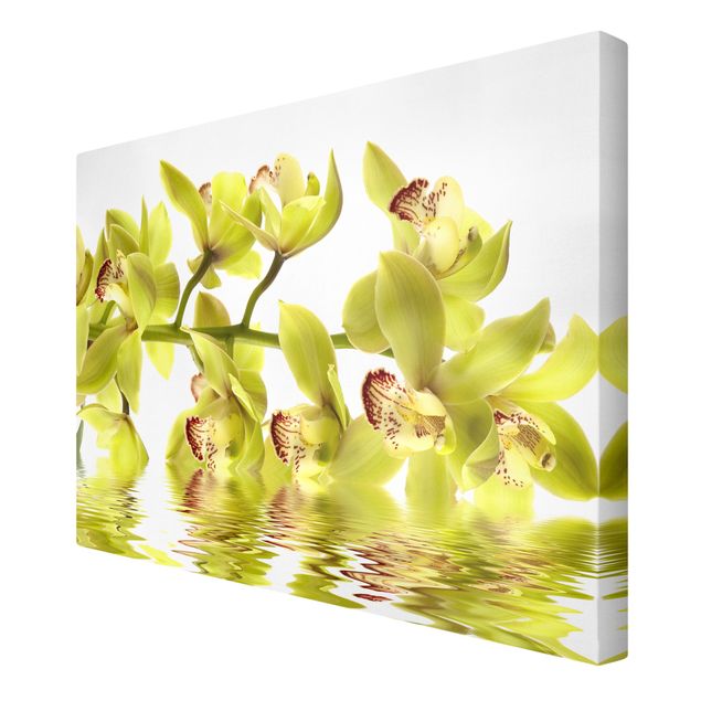 Obrazy motywy kwiatowe Wspaniałe wody orchidei