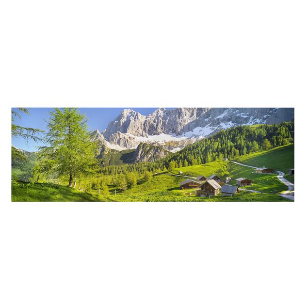 Obrazy drzewa Styria Alpejska łąka