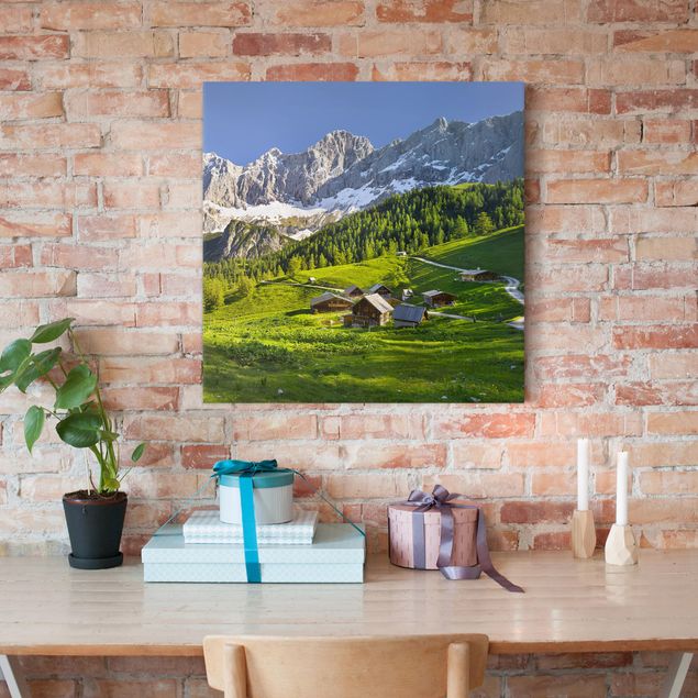 Obrazy do salonu nowoczesne Styria Alpejska łąka