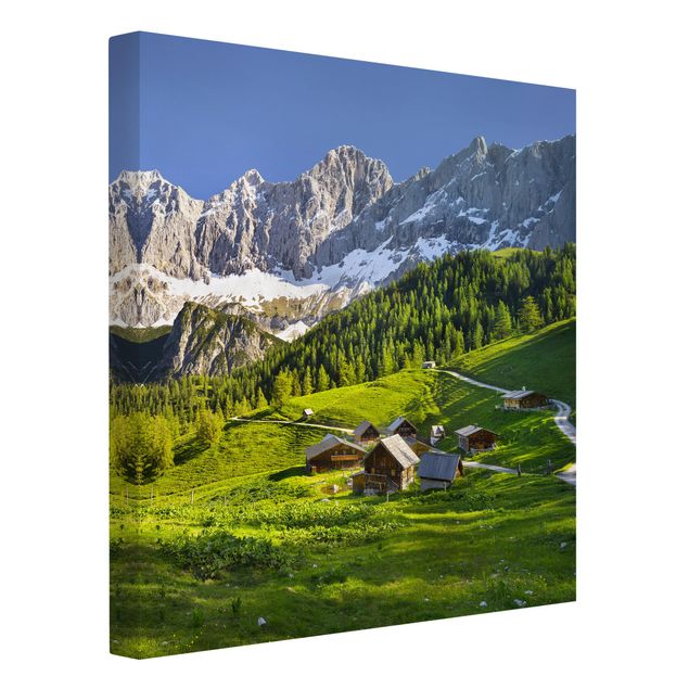 Obrazy z górami Styria Alpejska łąka