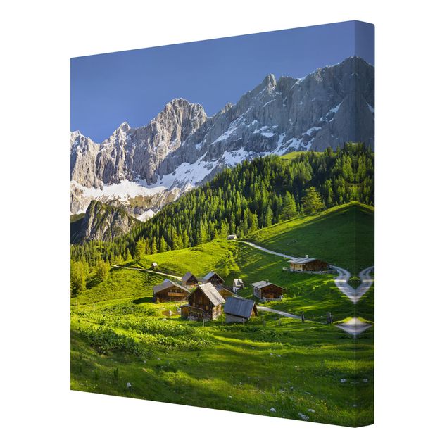 Obrazy krajobraz Styria Alpejska łąka