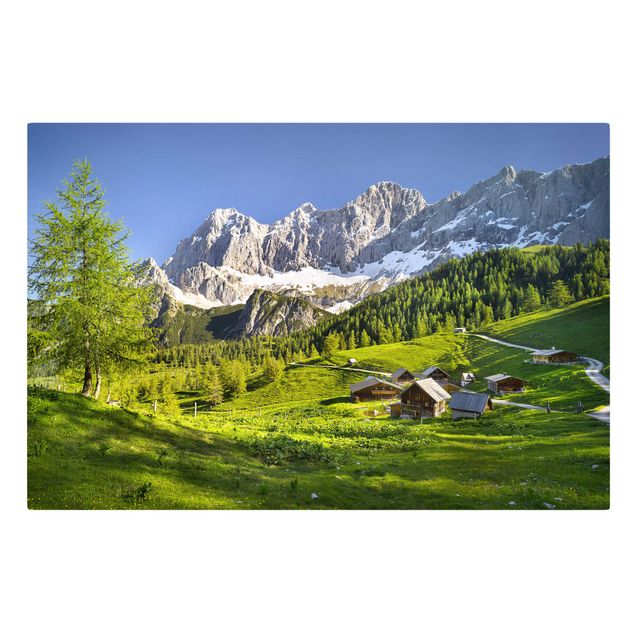 Obrazy drzewa Styria Alpejska łąka