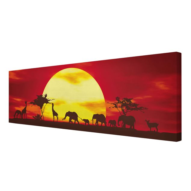 Obrazy słoń Karawana o zachodzie słońca