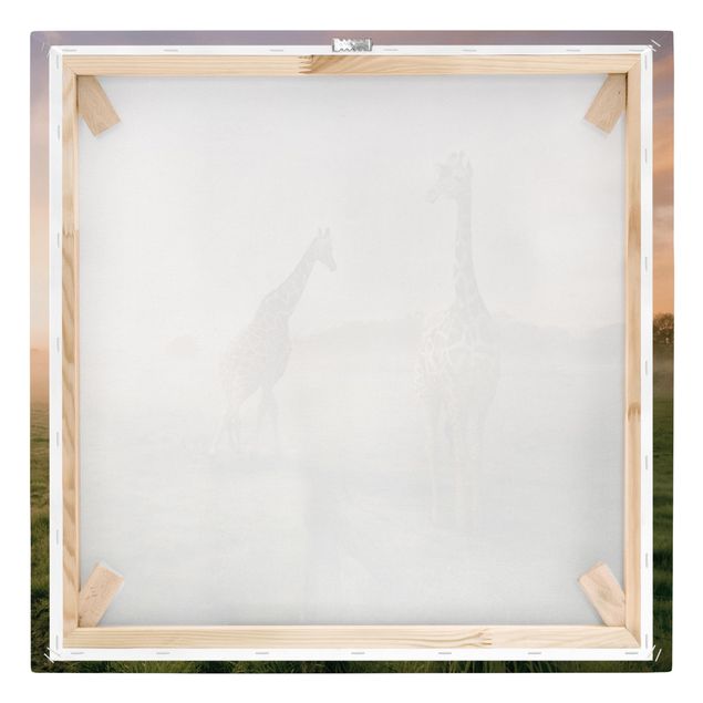 Obrazy natura Surrealistyczne żyrafy