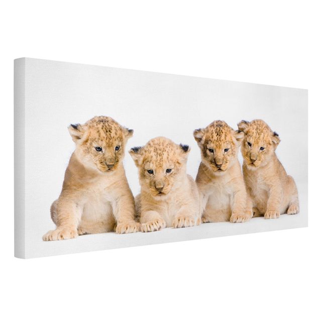 Obrazy zwierzęta Sweet Lion Babies