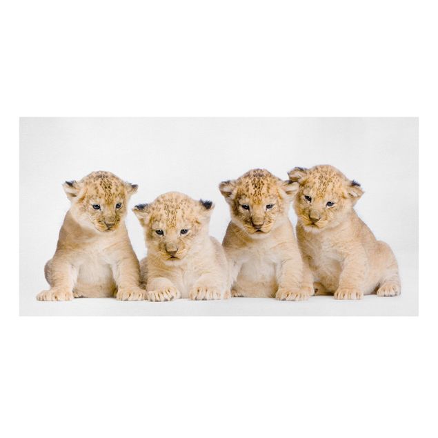 Lew obraz Sweet Lion Babies