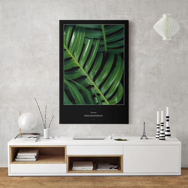 Nowoczesne obrazy do salonu Tropikalne liście filodendrona