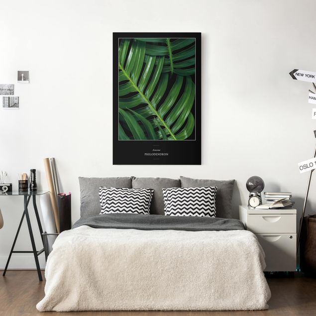 Obrazy nowoczesny Tropikalne liście filodendrona