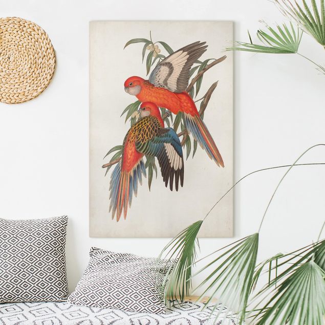 Obrazy do salonu Papugi tropikalne I