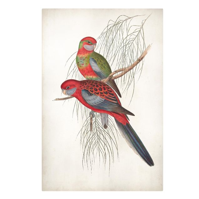 Obrazy vintage Papugi tropikalne III
