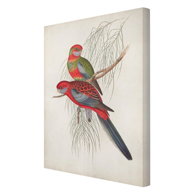 Obrazy retro Papugi tropikalne III