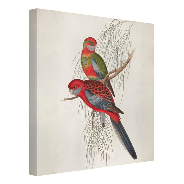 Obrazy zwierzęta Papugi tropikalne III