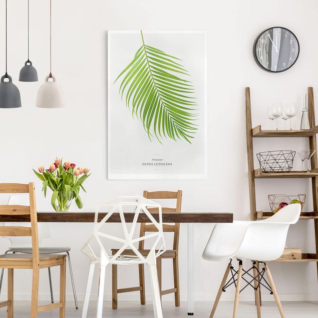 Obrazy do salonu Tropikalny liść palmy Areca