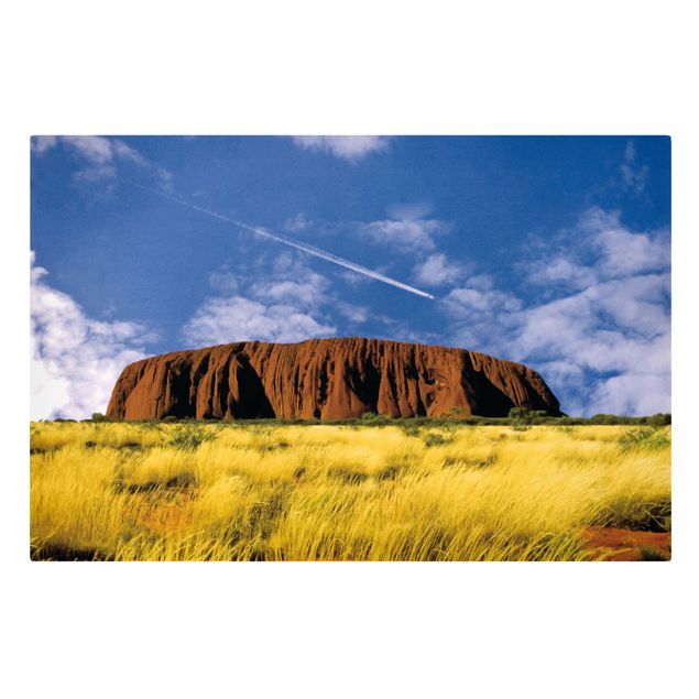 Obrazy krajobraz Uluru