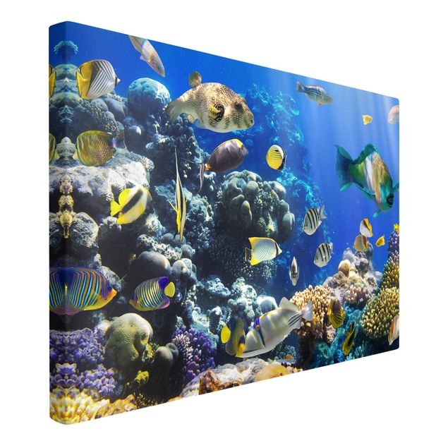 Obrazy morze Refa podwodna