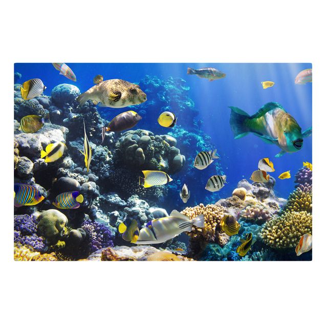 Obrazy krajobraz Refa podwodna