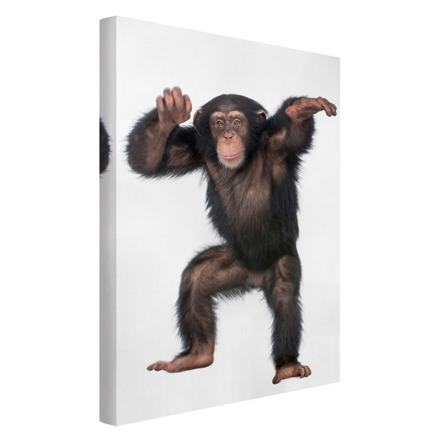 Obrazy nowoczesny Zadowolona małpa