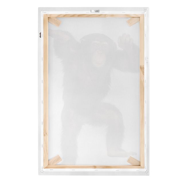 Obrazy Zadowolona małpa
