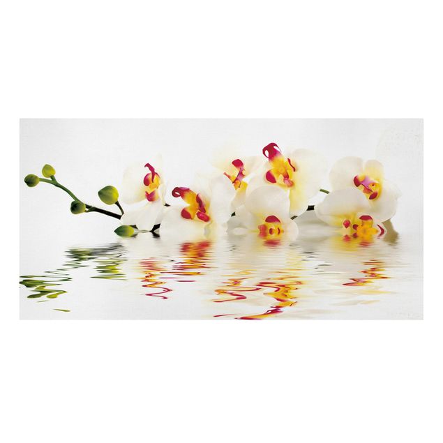 Dekoracja do kuchni Wody żywej orchidei
