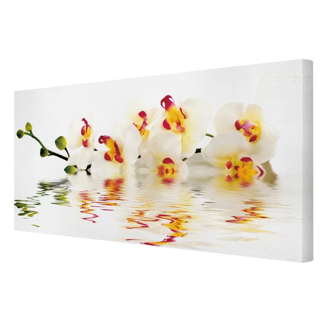Obrazy motywy kwiatowe Wody żywej orchidei