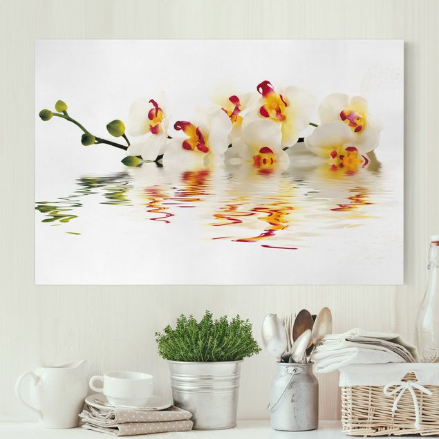 Nowoczesne obrazy do salonu Wody żywej orchidei