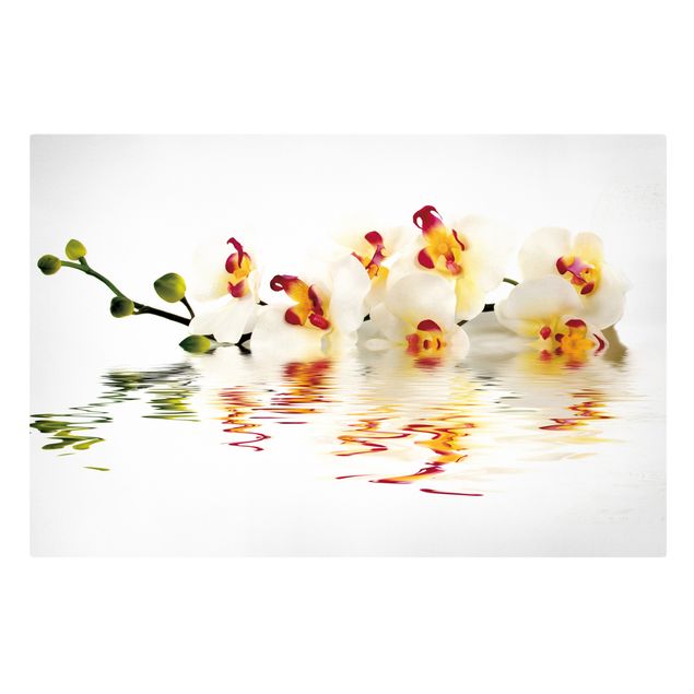 Dekoracja do kuchni Wody żywej orchidei