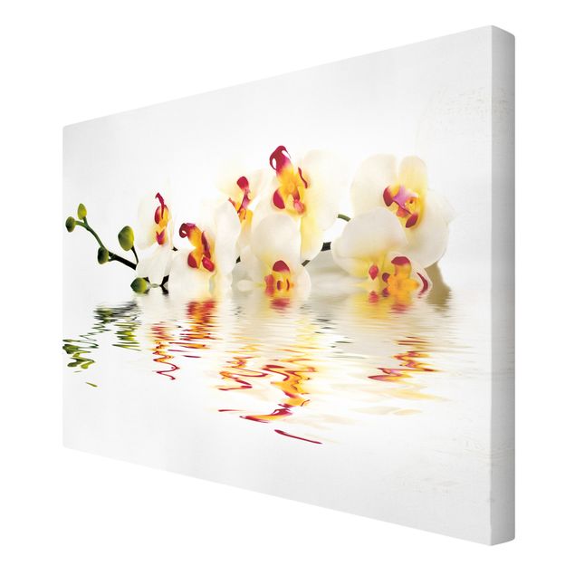 Obrazy motywy kwiatowe Wody żywej orchidei