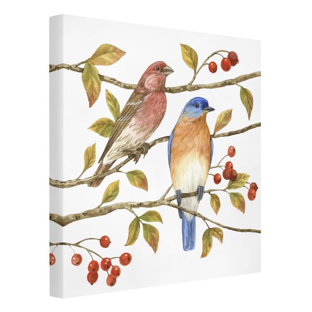 Obrazy ze zwierzętami Ptaki i jagody - Ptaki niebieskie