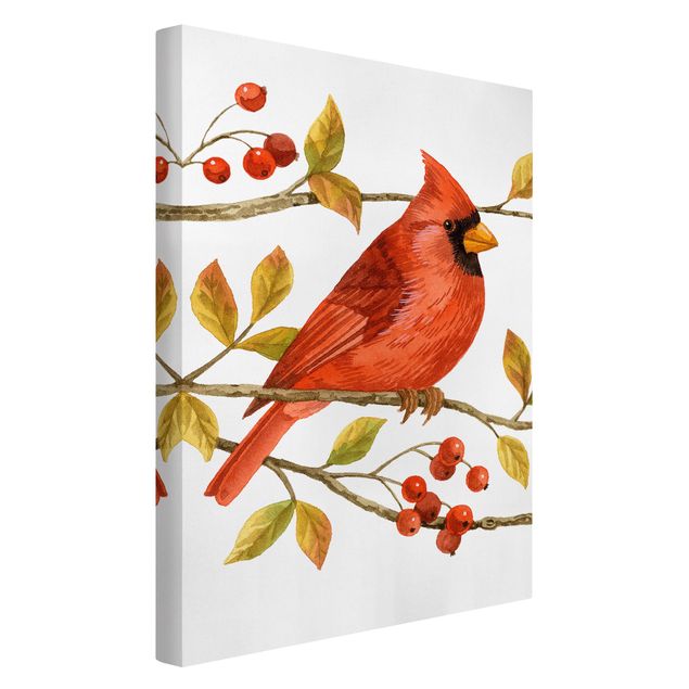 Obrazy zwierzęta Ptaki i jagody - Czerwony kardynał